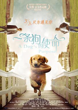 草草在线观看