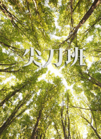 日韩欧美视频一区二区在线观看