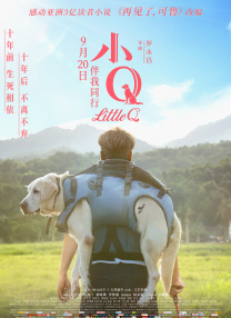老司机在线播放