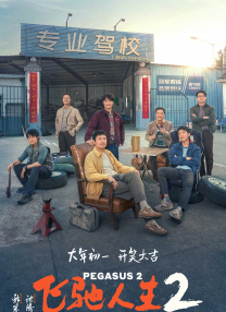 99国产精品欧美久久久久的广告