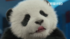 国产91小视频在线观看