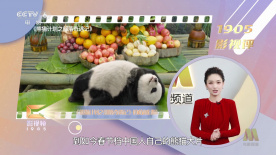 后宫海贼王