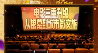 隐秘的表演